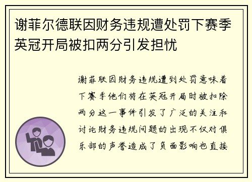 谢菲尔德联因财务违规遭处罚下赛季英冠开局被扣两分引发担忧
