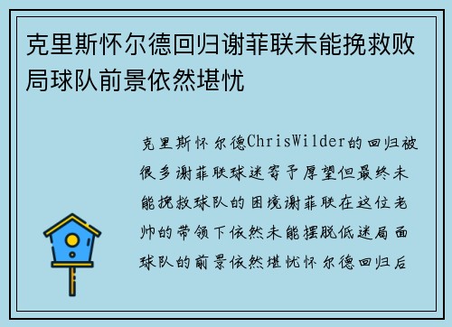 克里斯怀尔德回归谢菲联未能挽救败局球队前景依然堪忧 克里斯怀尔德回归谢菲联未能挽救败局球队前景依然堪忧